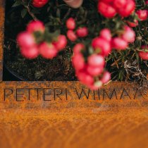 fat ballerina i rostat stål