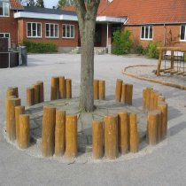 Palistar trästubbar i natur