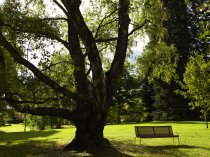Stockholm - en klassiker i parken