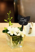 Perfekta miniskyltar med fjärilsiluett i griffel, idealiska för caféer, butiker, restauranger och blomsteraffärer.