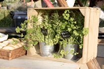 Griffelskyltar som är enkla att rengöra och använda om och om igen, perfekta för hållbar och praktisk användning inomhus och uto